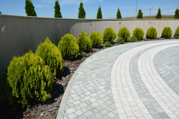 Best Driveway Paving Contractor  in Hillsbo, OR